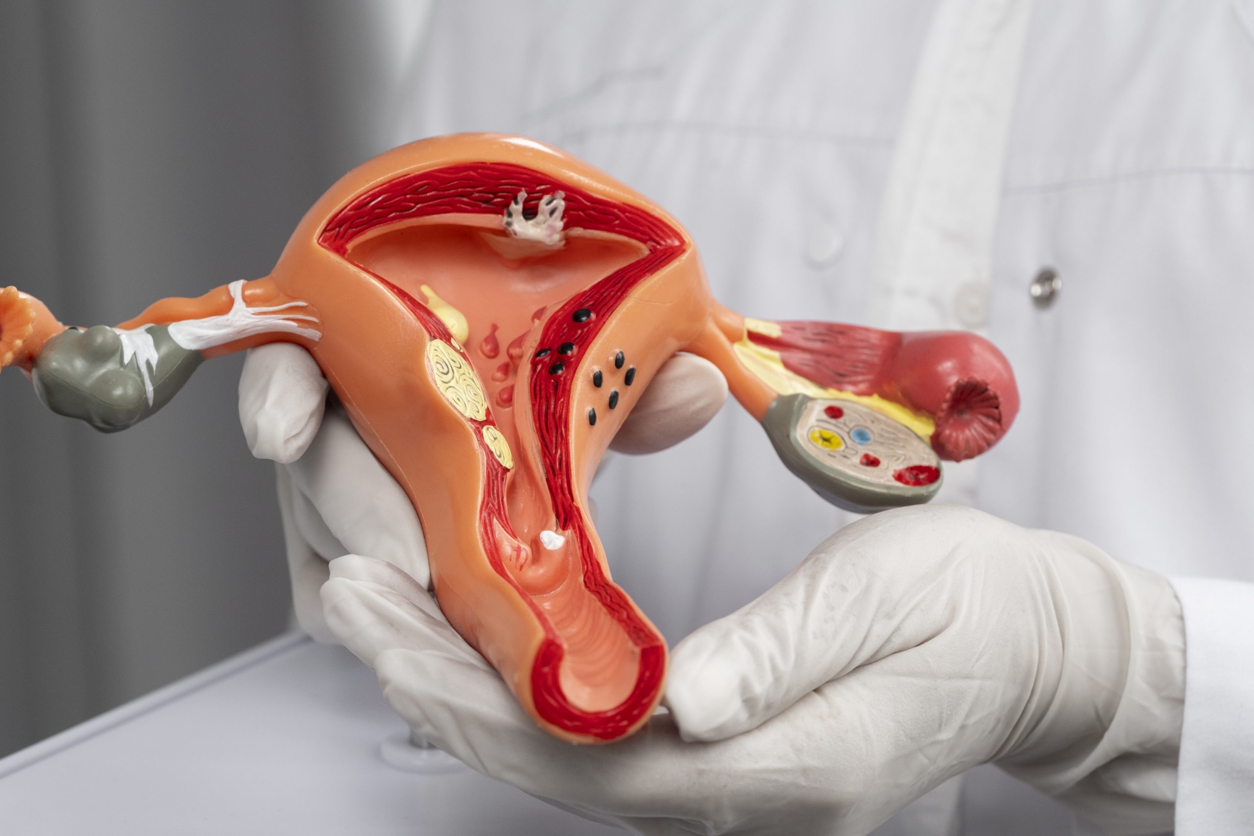 Perspectives of Integrative Gynecology